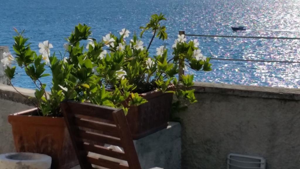 Le Sirene Bed and Breakfast Tellaro Eksteriør billede
